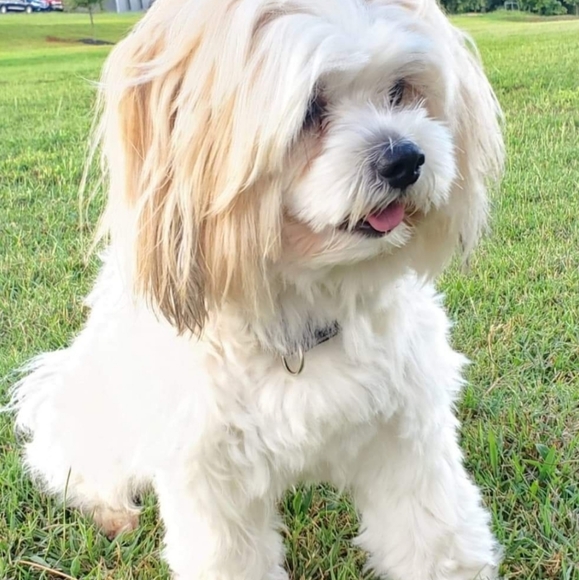 Meet your Posher, Divine - Picture 7 of 8